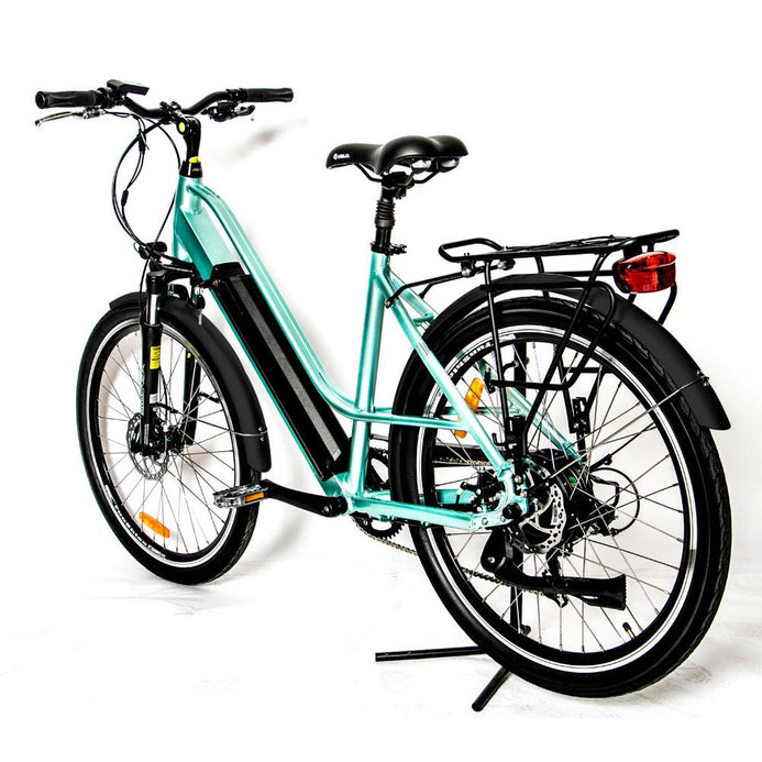 Torque 2024 electric bike